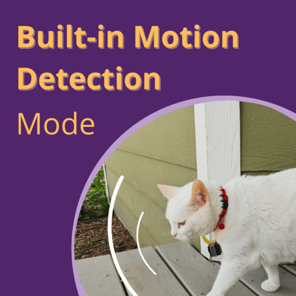 CollarCam Motion Detection