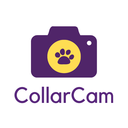 CollarCam Logo